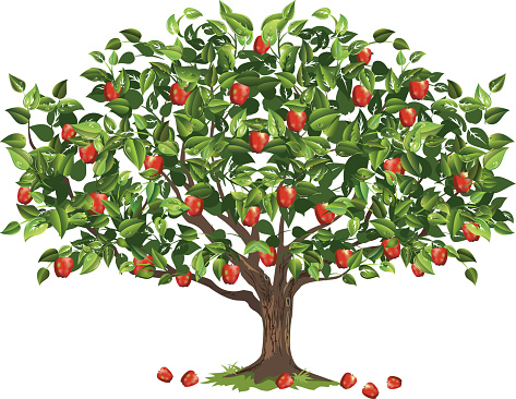 apple-tree-like-column-clipart-9